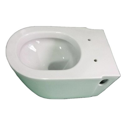 Hot Sell Bathroom Designer Wallhung Toilet